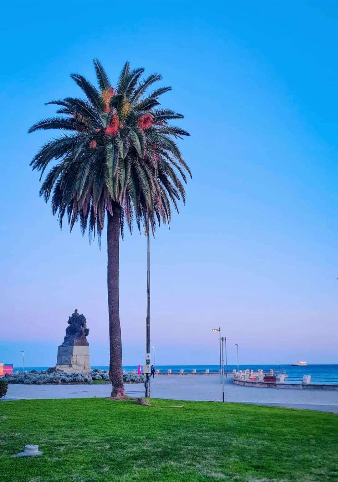 Tramonto Sul Mare - Sea Suite Savona Buitenkant foto